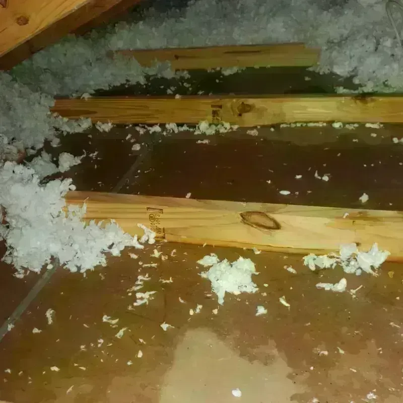 Attic Water Damage in Leavenworth, KS