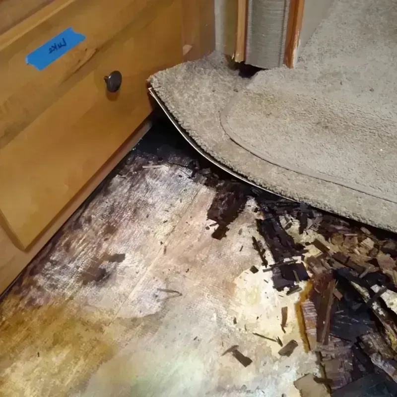 Best Wood Floor Water Damage Service in Leavenworth, KS